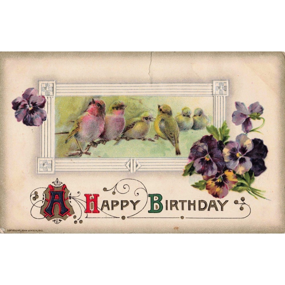 Birthday Postcard John Winsch 1910 Birds on Branch Pansies Flowers Embossed